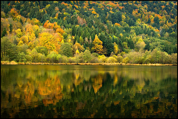 Lac de Sewen en automne