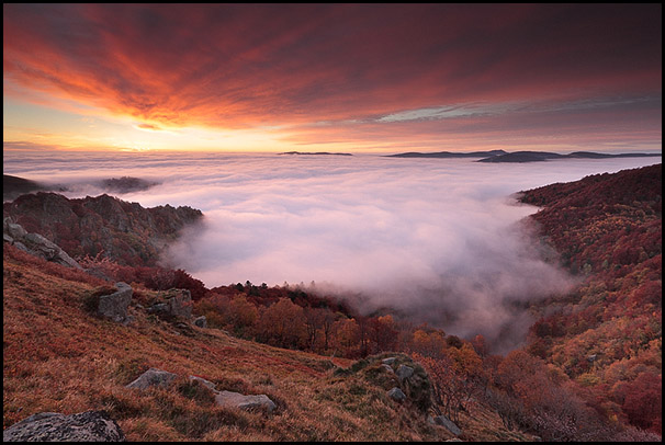 Mer de nuages sur le Kastelberg dans les Vosges, Hohneck, Haut-Rhin, Alsace, France