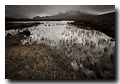 Bog near Sligachan, Loch Caol, Isle of Skye, Scotland